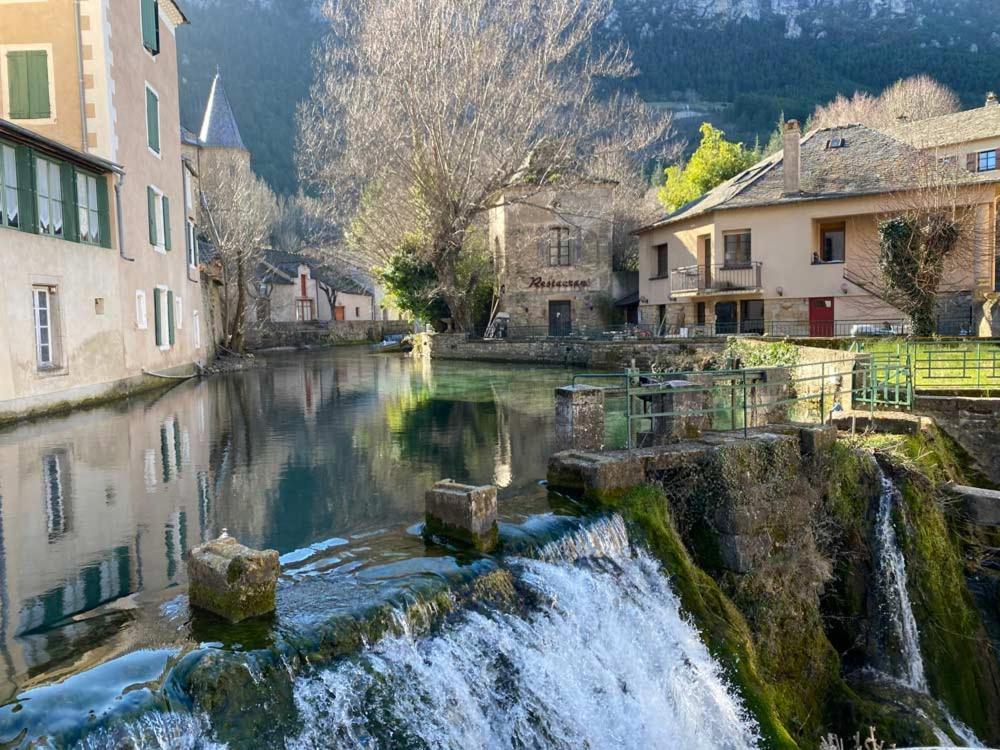 Maison Lgbt Des Monts Bleus Saint-Roman-de-Tousque Bagian luar foto